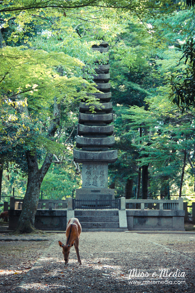 "In the Garden" - Japan
